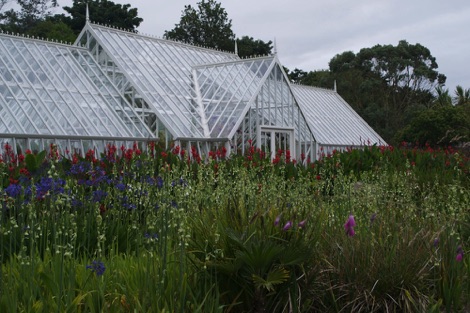 Logan Botanic Gardens glasshouse